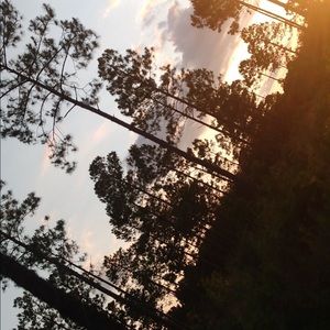 Meet your Posher, Whitney